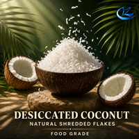 Noix de coco râpée de qualité alimentaire, flocons de noix de coco naturels, noyau de noix de coco, marque RENZE, durée de conservation de 12 mois pour la pâtisserie