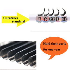 Extensiones de pestañas planas, accesorio para la fabricación de extensiones de pestañas, elípticas, coreanas, modelo B C D - Product Image 6