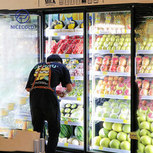 ประตูกระจก8บานตู้แช่ในตู้<span class=keywords><strong>เย็น</strong></span>พร้อมจอแสดงผลห้องเย็นตู้แช่สำหรับเดิน - Product Image 5