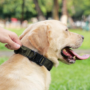 Collier de chien Joymay Offre Spéciale avec poignée collier de chien tactique robuste réglable de haute qualité pour l'entraînement en plein air des grands chiens - Product Image 2