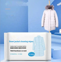 Lingettes Nettoyantes pour Doudounes, 12 Pièces, Personnalisées en Usine, à l'Eau Pure EDI, pH Équilibré, Sans Rinçage, pour l'Entretien des Vêtements