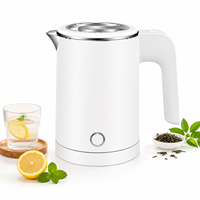 Mini bouilloire électrique 0,5 L 800 W en acier inoxydable sans soudure, chauffe-eau personnel de voyage, blanc mat, prise UE, OEM