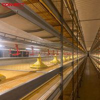 Système d'alimentation automatique pour poulets de chair en cage de type H avec chauffage à l'eau chaude pour une surface de 105m²