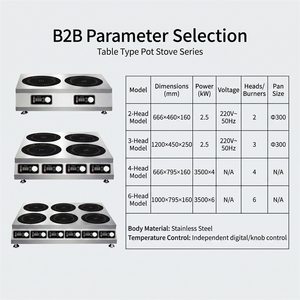Cocina de Inducción Comercial de Doble Zona con Pantalla Digital de Potencia para Puestos de Comida, Carritos Móviles y Restaurantes - Product Image 2