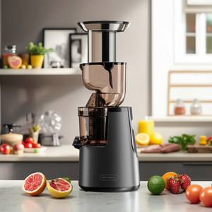 Exprimidor de Naranjas Profesional de Alta Calidad, Exprimidor Lento para Jugos Frescos para Uso Doméstico - Product Image 4