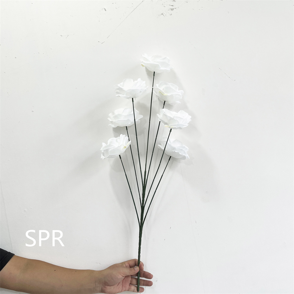 SPR-AF23823-4