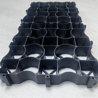 Géocell HDPE 40 mm, grille de gazon stabilisatrice de sol, perméable, noire, résistante aux UV, haute résistance à la compression, emboîtable, pour parking