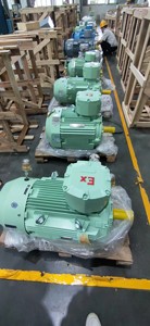 Moteur à courant alternatif à réducteur de vitesse GUOMAO/Wolong 220 kW - Product Image 3