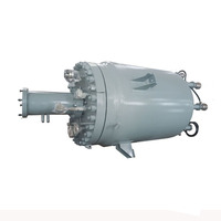 Réacteur chimique industriel haute pression Borui 1000L 2000L pour l'ammoniac