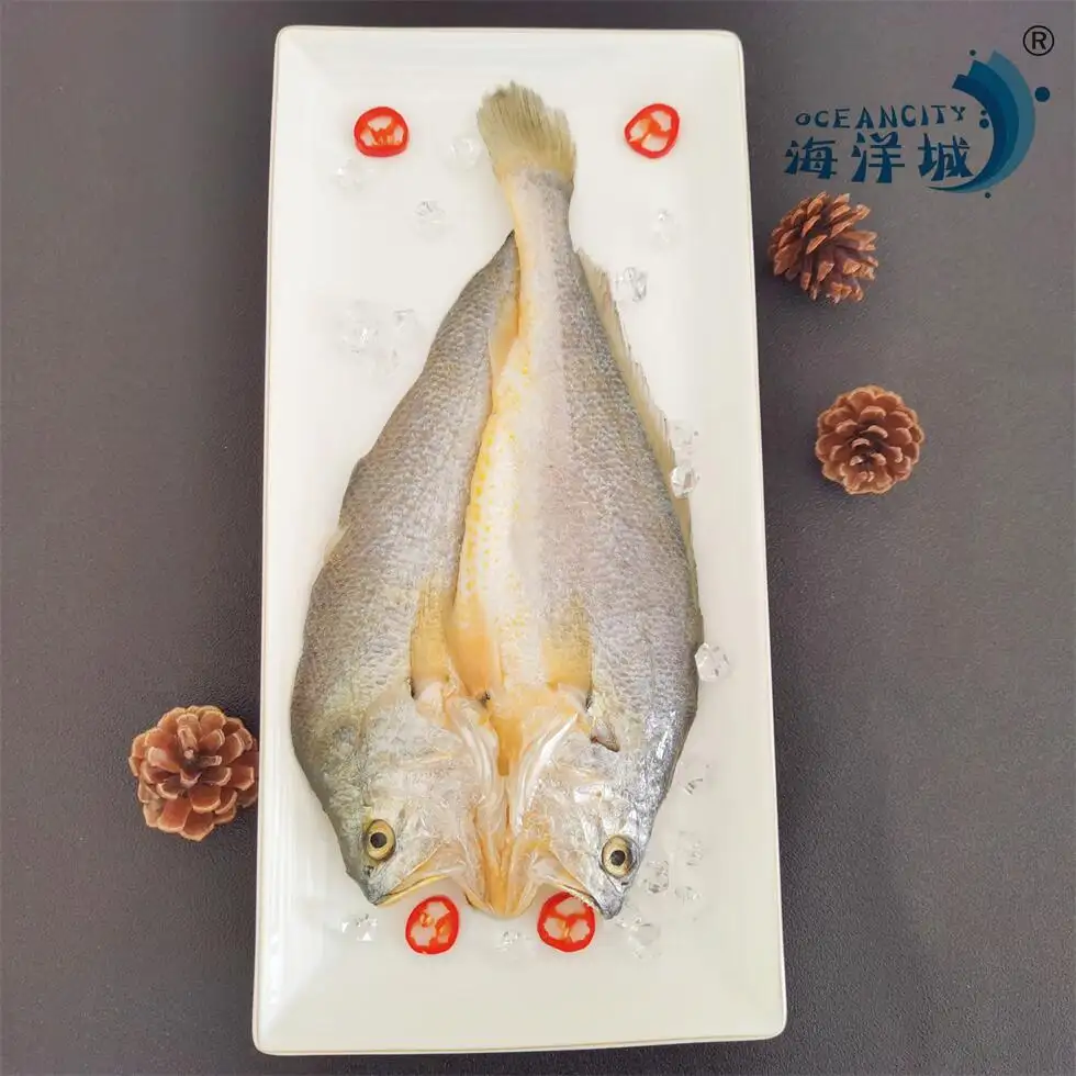 उच्च गुणवत्ता खस्ता पीले Croaker पट्टिका मछली तलना सूखे जमे हुए मछली के साथ बिक्री के लिए सबसे अच्छी कीमत