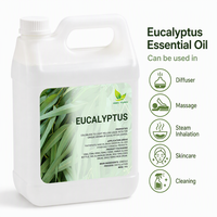 Huile essentielle d'eucalyptus non diluée, distillée à la vapeur, pour diffuseur, aromathérapie, massage et fabrication de savon, vente en gros, USDA