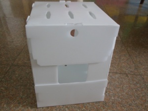 Hộp Măng Tây Bằng Nhựa - Product Image 4