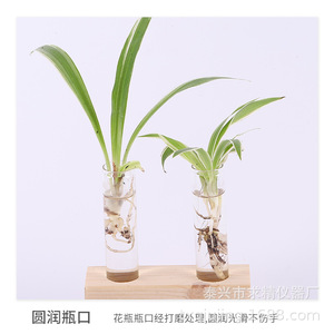 Wooden Glass Hydroponic Display <b>Stand</b> With Test Tubes For Pothos Plants Desktop Decoration <b>Vase</b> High Borosilicate Glass - Product Image 2