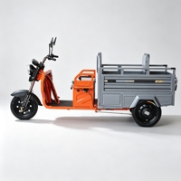 Véhicule électrique à trois roues à double usage, 1200W de puissance, design pliable, tricycle électrique avec frein de 160 mm pour la logistique urbaine