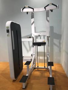 Equipo de <span class=keywords><strong>Gimnasio</strong></span> Comercial, Equipo de <span class=keywords><strong>Gimnasio</strong></span> <span class=keywords><strong>Cybex</strong></span> <span class=keywords><strong>para</strong></span> Ejercicios de DIP/CHIN ASSIST - Product Image 6
