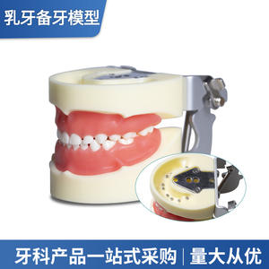 Modelos Dentales de Dientes Deciduos para Niños, Equipos y Accesorios de Práctica de Enseñanza Oral, Instrumentos y Materiales de Odontología - Product Image 5