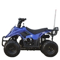 ATV Tao Motor con Rueda de 6 Pulgadas, Arranque Eléctrico, Interruptor de Apagado Remoto, ATV de Gasolina de 110cc, ATV Automático de 12V para Niños, Quad de 125cc