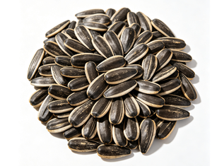 Semillas de Girasol de Primera Calidad al por Mayor T6 361 363, Semillas Negras y Blancas con Rayas, Forma Alargada, para Consumo Humano - Product Image 1