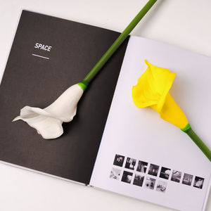 Flor Artificial de Lirio de Cala de Seda, Blanca y Amarilla, Tallo Grande Individual, Decoración para Bodas y Hogar - Product Image 2