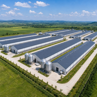 Bâtiment de ferme avicole préfabriqué en structure légère en acier au design moderne avec ventilation intégrée