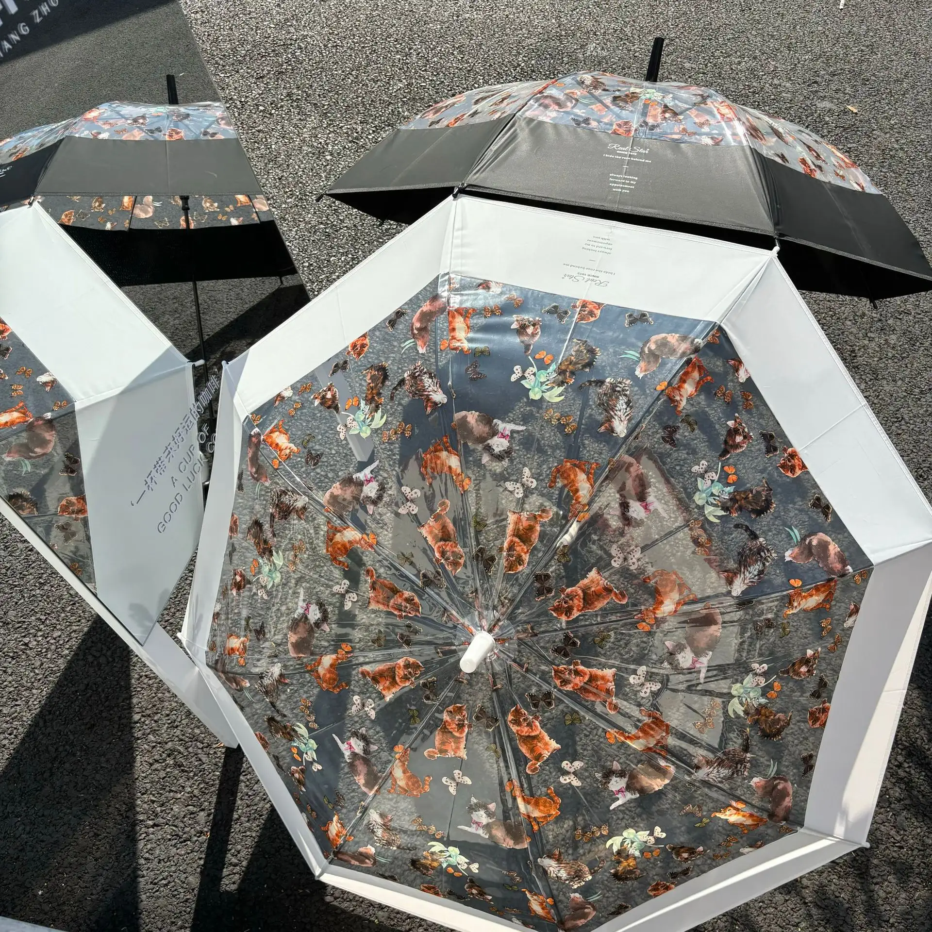Nieuwe Ins Koreaanse Stijl Retro Olieverfschilderij Senior Sense Transparante Kat Lange Steel Paraplu Windbestendige Automatische Paraplu