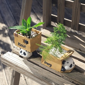 Nouveau fait à la main personnalisé Animal résine plantes succulentes plantation conteneur De Fleur décor Salon dessin animé Panda décoratif planteur Pots de fleurs - Product Image 6