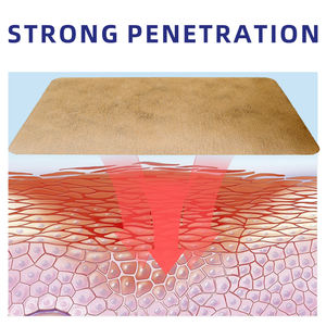 Parche de calor de fisioterapia china tradicional para el cuerpo, la mano, el pie y la pierna, trata la <span class=keywords><strong>artritis</strong></span> <span class=keywords><strong>reumatoide</strong></span>, la osteoartritis - Product Image 5