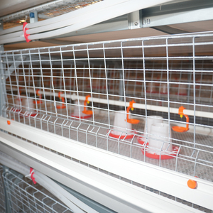 Jaulas automáticas para aves <span class=keywords><strong>de</strong></span> corral tipo H, criadora para <span class=keywords><strong>pollos</strong></span>, jaula para pollitos, equipo duradero para cría <span class=keywords><strong>de</strong></span> pollitos - Product Image 6