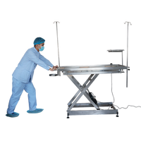 Équipement vétérinaire Table d'opération pour animaux en acier inoxydable 304 adaptée à l'hôpital pour animaux de compagnie de clinique vétérinaire