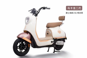 Vélo électrique à large roue pour adultes, <span class=keywords><strong>prix</strong></span> de gros, <span class=keywords><strong>500</strong></span> <span class=keywords><strong>watts</strong></span>, alimenté par <span class=keywords><strong>batterie</strong></span> au plomb-acide, avec pédales. - Product Image 6