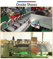 Multihead mango-ontpittermachine, machine voor het ontpitten van verse mango's voor mango-verwerkingsbedrijven
