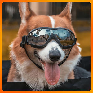 Gafas Caninas Resistentes con Lentes Irrompibles para Aventuras al Aire Libre - Product Image 2