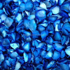 Roses éternelles Pétales de roses éternelles Roses éternelles pour confettis de mariage Décoration Plantes et fleurs conservées Pétales biodégradables Grande taille Y - Product Image 5