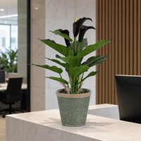 Fleurs artificielles de lys calla en pot, plante artificielle réaliste pour la décoration de table, d'étagère et de bureau