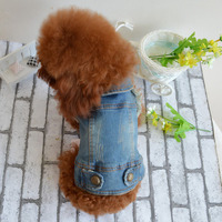 Veste en jean rétro pour chien, nouvelle collection automne-hiver, vêtements pour animaux de compagnie