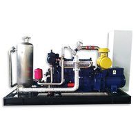 100kw industriel LPG/générateur de biogaz plantes