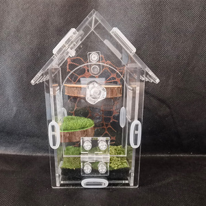 Recinto Acrílico Terrario para Arañas Saltarinas e Insectos para Pequeños Reptiles Arborícolas Cajas y Contenedores de Almacenamiento - Product Image 2