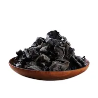 בריא אריכות ימים לטפח מיובש שחור פטרייה אכיל עץ שחור פטרייה פטריות