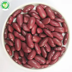 Haricot moucheté meilleure qualité IQF congelé rouge foncé Chine comestible SD avec 2 ans de durée de conservation Petits haricots rouges ronds de qualité supérieure