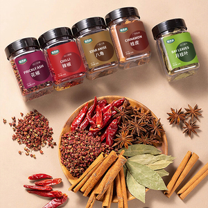 Poudre d'assaisonnement 5-en-1 en gros, pot de 220g, épices et herbes, prêt à l'emploi, fournisseur authentique, prix le plus bas - Product Image 3