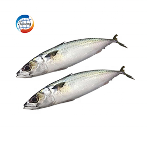 Venta al por mayor 10kg Cartón <span class=keywords><strong>Ozen</strong></span> Caballa del Pacífico 300/500 Piezas Caballa entera Pescado SCOMBER JAPONICUS 200-250g - Product Image 3
