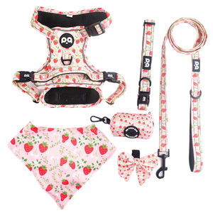 कट्स कस्टम लक्जरी पिल्ला लेश कॉलर एडजस्टेबल पालतू पोप बैग बन्टाना प्रतिवर्ती लुभावनीय नियोप्रीन कुत्ते हार्नेस सेट - Product Image 1