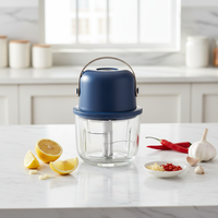 Hachoir miniature sans fil portable pour la maison, alimenté par batterie, capacité de 300 ml, avec lames en acier inoxydable, faible bruit