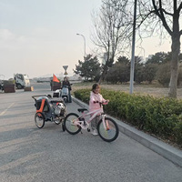 Remorque de vélo pliable en textile pour animaux de compagnie, 2 roues, chariot de transport pour chien, poussette de voyage avec fermeture éclair, couleur et logo personnalisables
