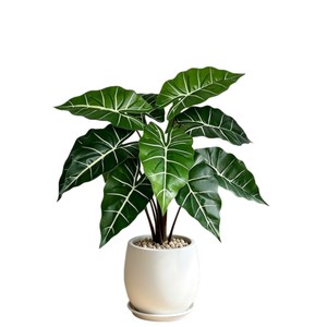 Plante artificielle de feuilles de taro pour décoration intérieure, style bouquet, pour salon, bureau, balcon, entrée - Product Image 3