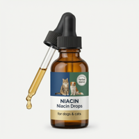 Gouttes de niacine premium avec effet éclat pastèque pour soutenir le métabolisme énergétique et la maintenance d'une peau saine pour adultes