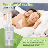 Huile parfumée naturelle d'aloès pour chambre Spray Huile de menthe poivrée aux graines de jojoba Eco-Friendly Bulk Pillow Linen Home Fragrance Room Spray