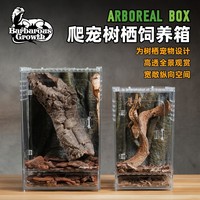 Boîte d'élevage en verre acrylique BG Old Man Tree Frog pour reptiles et serpents, terrarium décoré pour gecko à cils avec porte à ouverture frontale