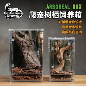 Boîte d'élevage en <span class=keywords><strong>verre</strong></span> acrylique BG Old Man Tree Frog pour reptiles et serpents, terrarium décoré pour gecko à cils avec porte à ouverture frontale - Product Image 1