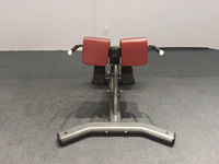 Banc réglable de chaise de Roma en métal d'équipement de gymnastique à la maison commerciale avec le cadre d'étirement arrière